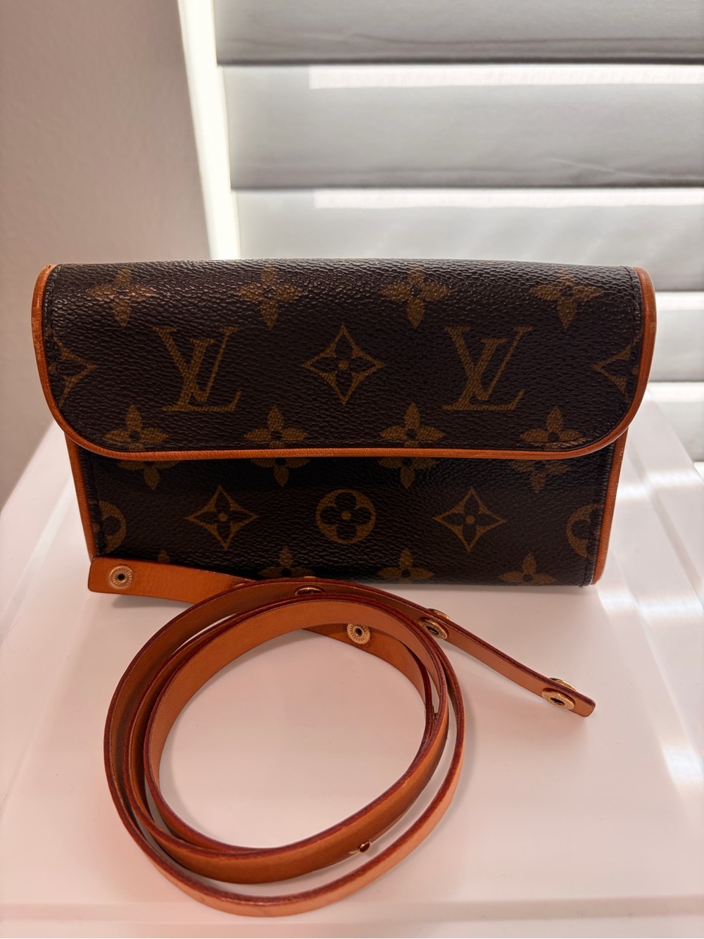 Louis Vuitton Pochette Florentine Belt bag